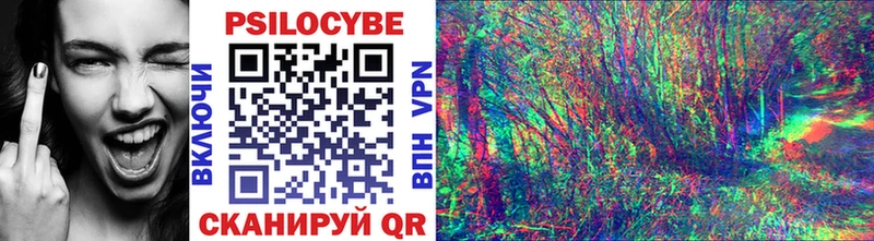 площадка как зайти  Киселёвск  Галлюциногенные грибы GOLDEN TEACHER  что такое наркотик 
